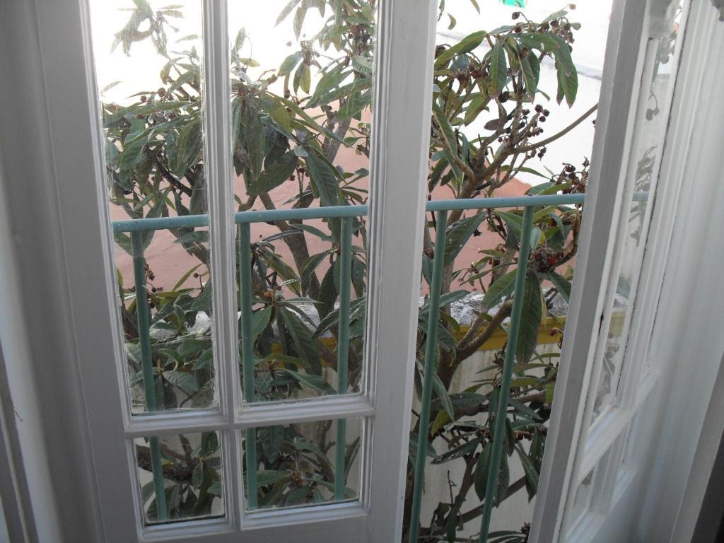 Casa Verde Феррейра-ду-Алентежу Номер фото